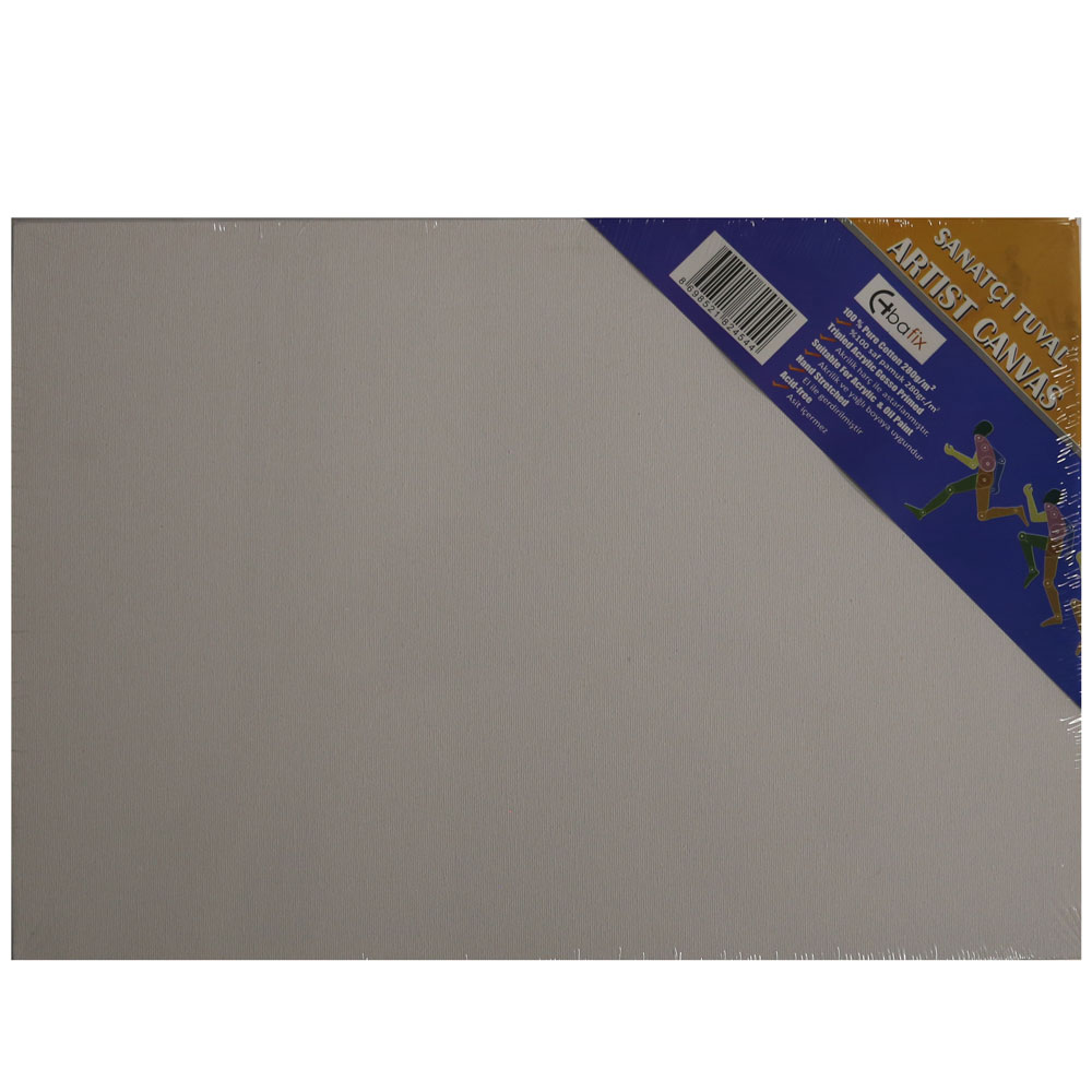 Bafix Çerçeveli Tuval 25x35