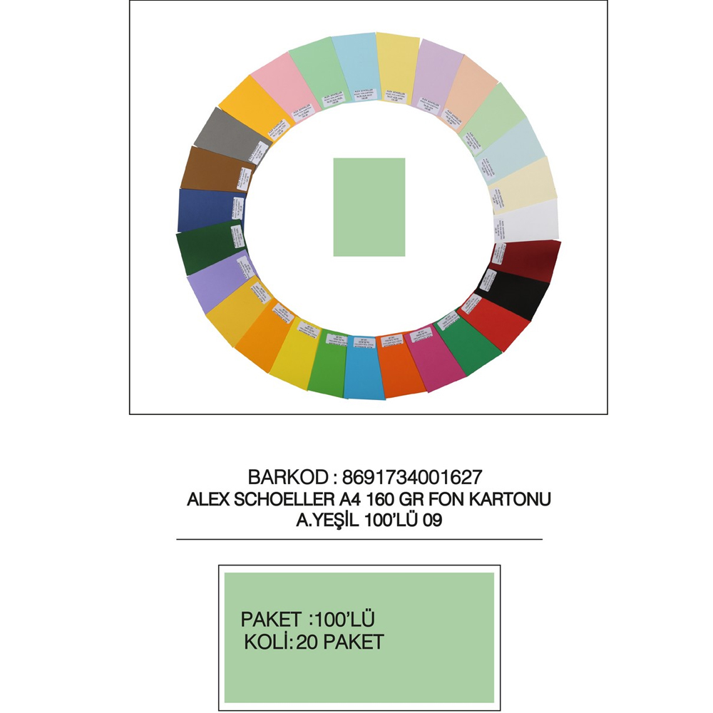 Alex Schoeller Fon Kartonu 160 GR A4 09 A Yeşil