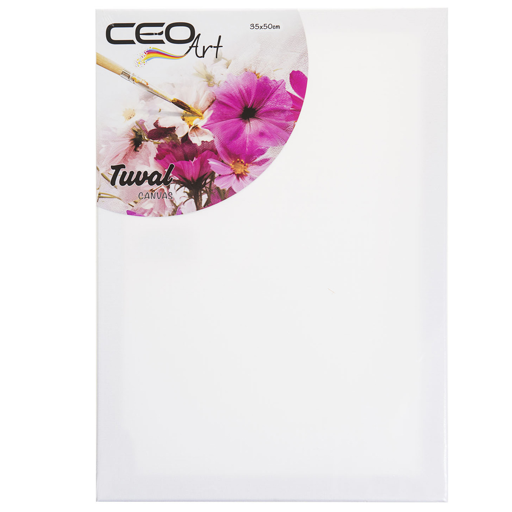 Ceo Art Çerçeveli Tuval 35x50 Düz