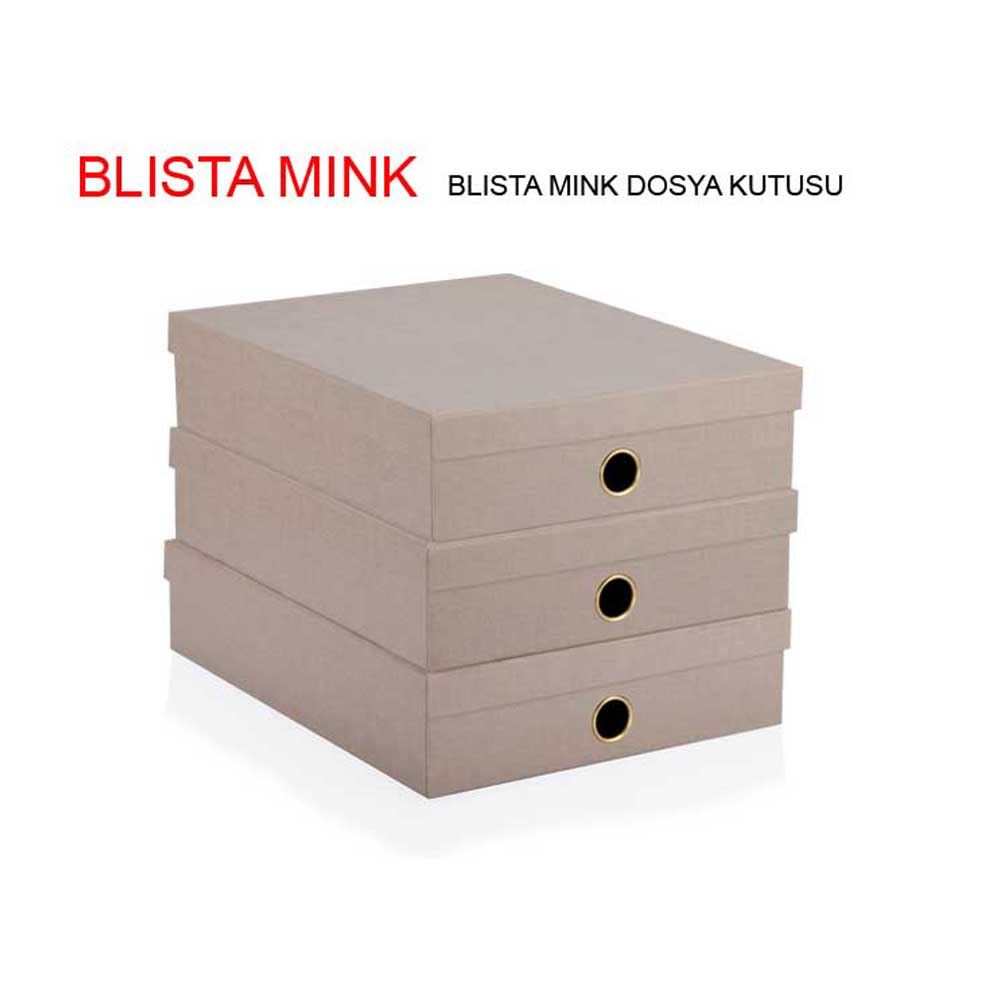 Gıpta Dosya Kutusu Blısta Mınk