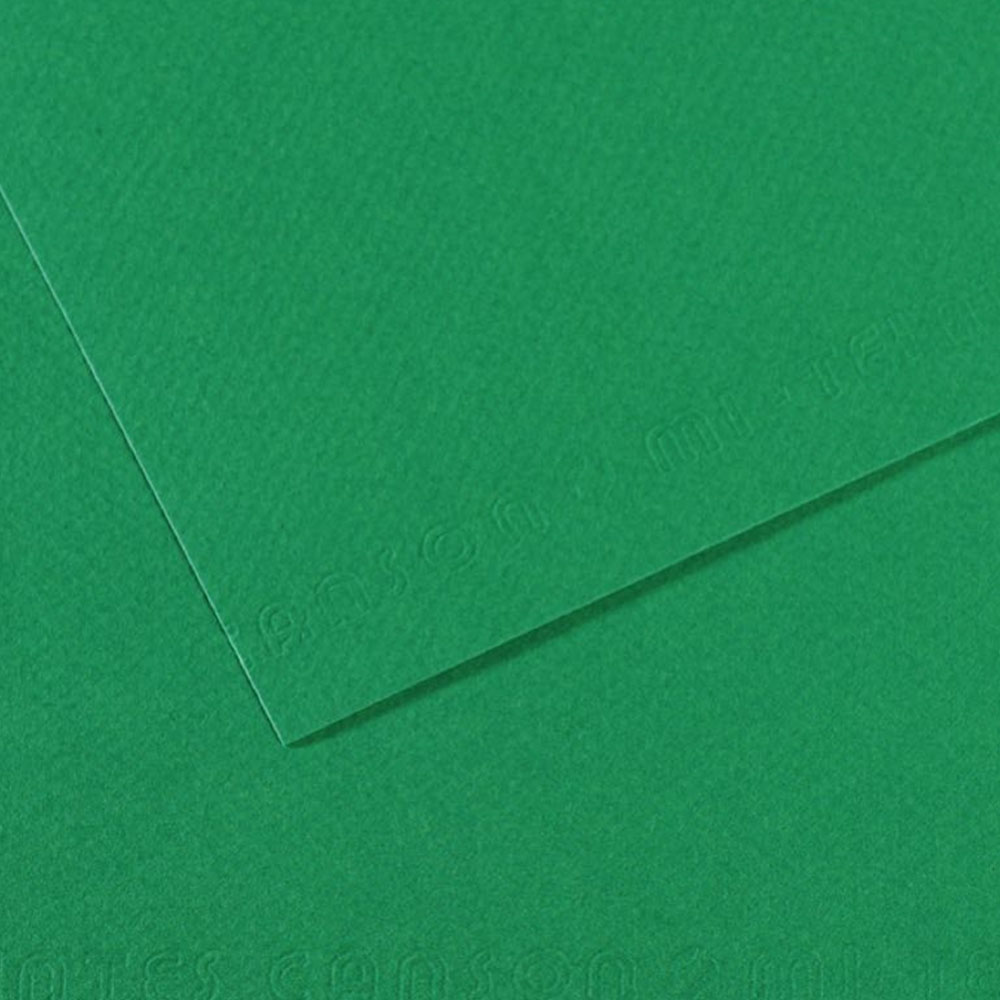 Canson Fon Kartonu (Dokulu) Mı-Teıntes Sh Canmt 50x65 160 GR Grn 575 31032S114