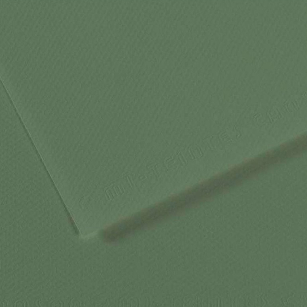 Canson Fon Kartonu (Dokulu) Mı-Teıntes Sh Canmt 50x65 160 GR Grn 190