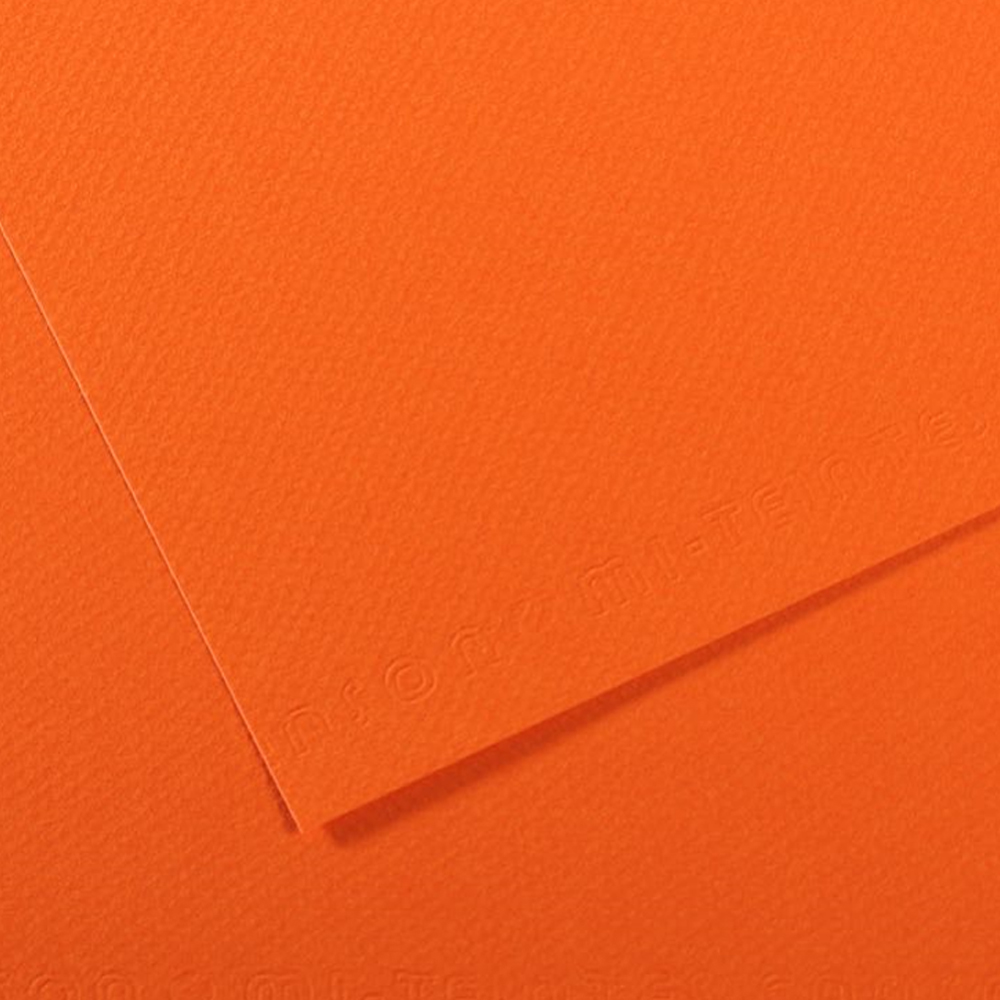 Canson Fon Kartonu (Dokulu) Mı-Teıntes Sh Canmt 50x65 160 GR Org 453