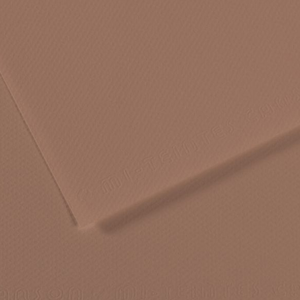 Canson Fon Kartonu (Dokulu) Mı-Teıntes Sh Canmt 50x65 160 GR Brown 188