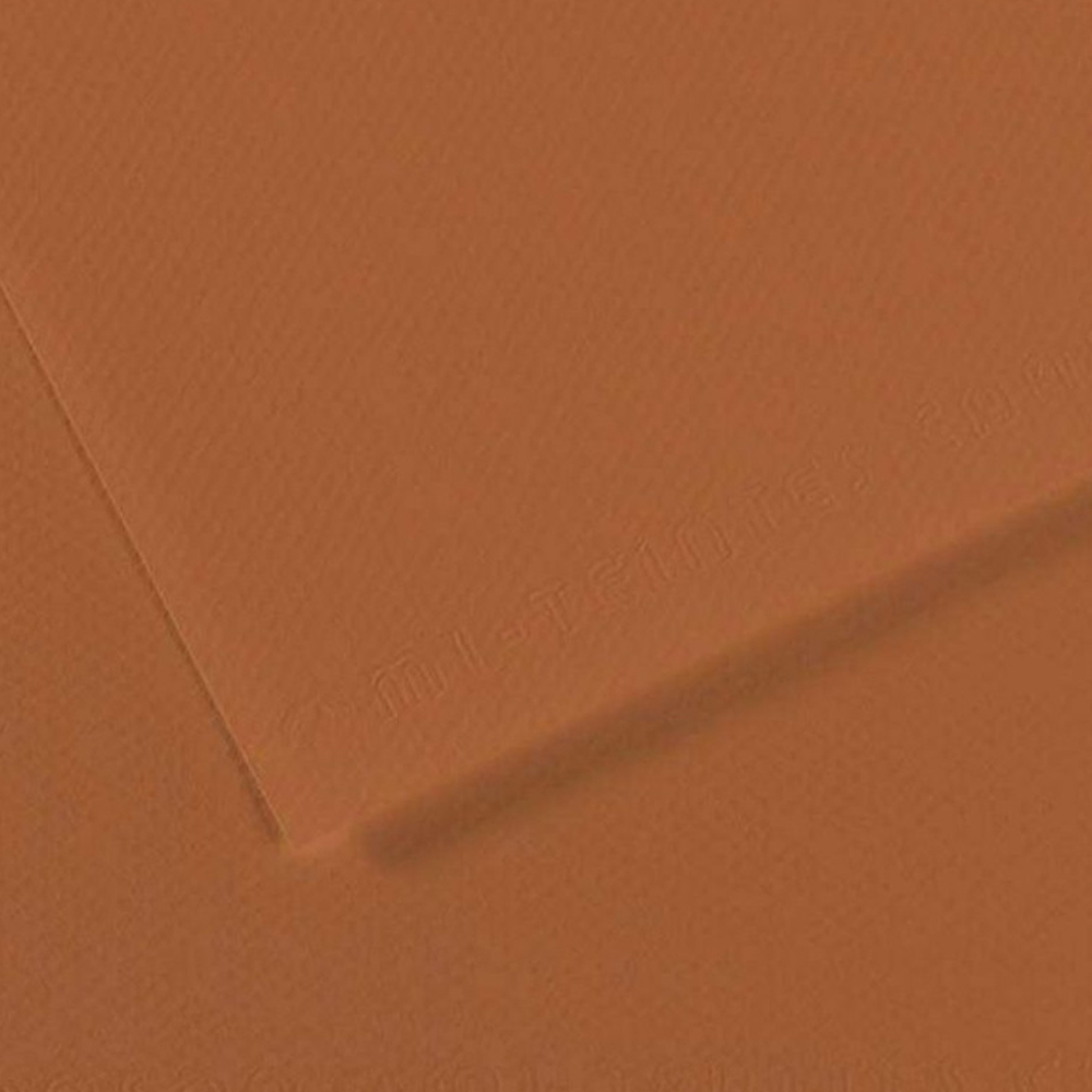 Canson Fon Kartonu (Dokulu) Mı-Teıntes Sh Canmt 50x65 160 GR Brown 187