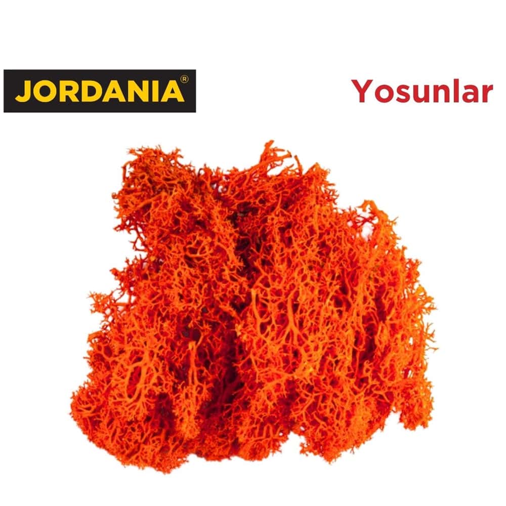 Jordania Yosun 4066 Turuncu 10 Gr JE00-0504066