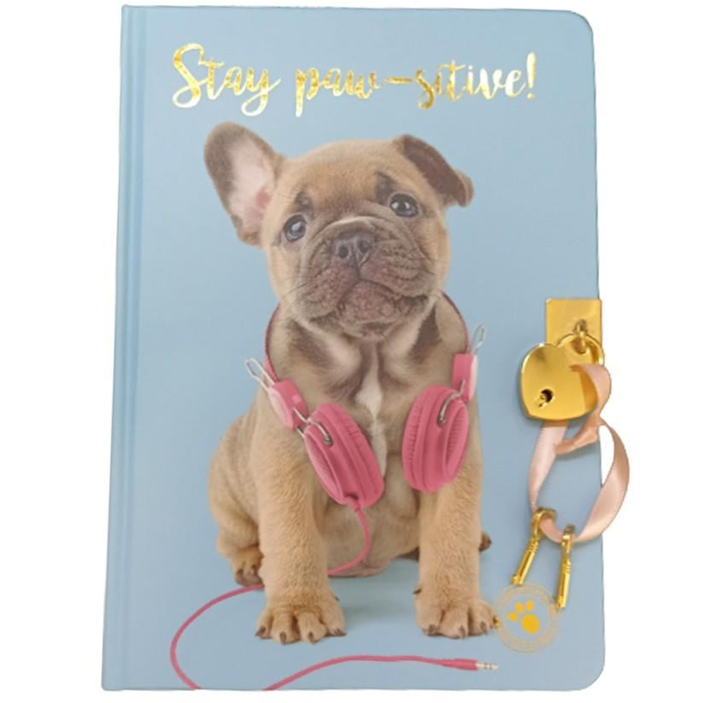 Dolphin Hatıra Defteri Studıo Pets Kilitli Sert Kapak Pt-7789