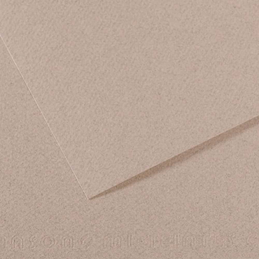 Canson Fon Kartonu (Dokulu) Mı-Teıntes Sh Canmt 50x65 160 GR Grey 426