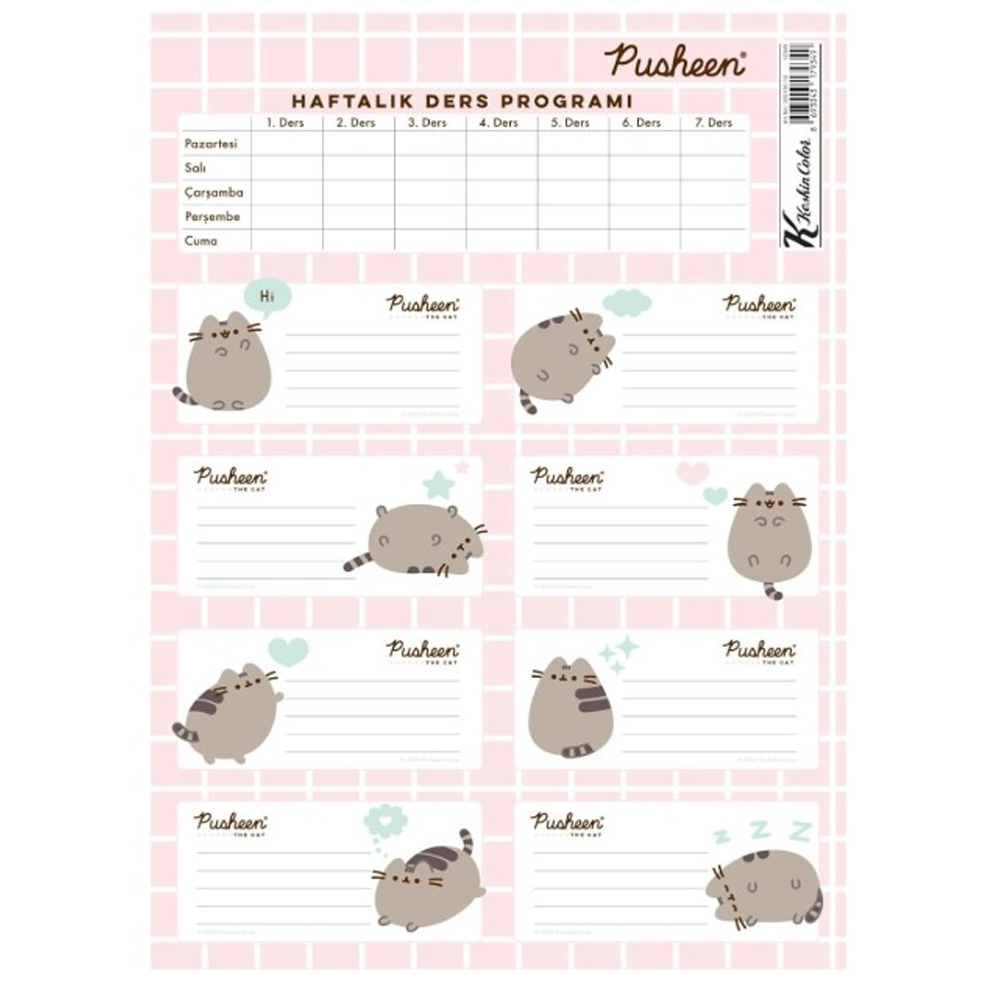 Pusheen Ders Programlı Etiket 3 Lü 220130-10